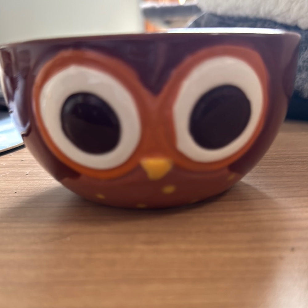 Owl Design Brown Bowl